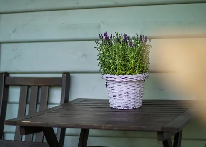 Atma Сasa de vacaciones *