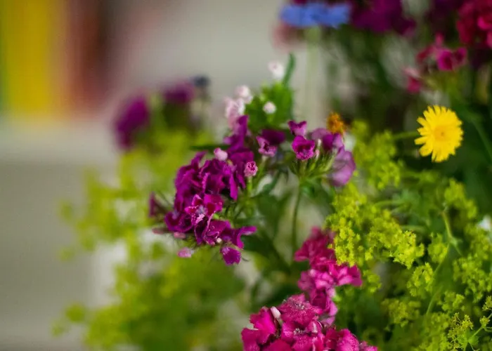 Сasa de vacaciones Atma